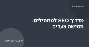 אדם מנתח נתוני חיפוש בגוגל על מחשב נייד, איור למדריך SEO למתחילים